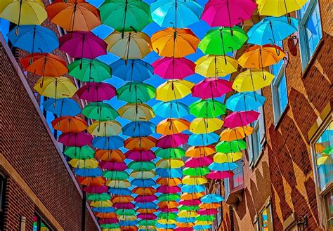 Umbrella sky elmhurst photos - The Umbrella Sky Project happens every summer between the months of July to September to shade the hot streets of the cute little town. It began in 2011 as part of the annual Ágitagueda Art Festival. This festival features urban art installations across the town and there is even live music to enjoy in the evenings.